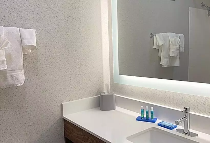 スタンダードルーム, Holiday Inn Express & Suites Reidsville, An Ihg