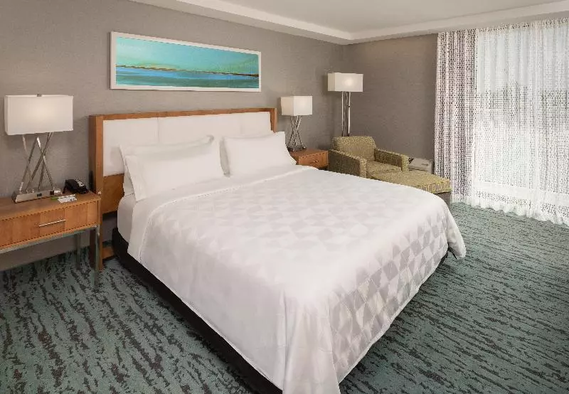 キングサイズベッドのスイートルーム, Holiday Inn Express & Suites Reidsville, An Ihg