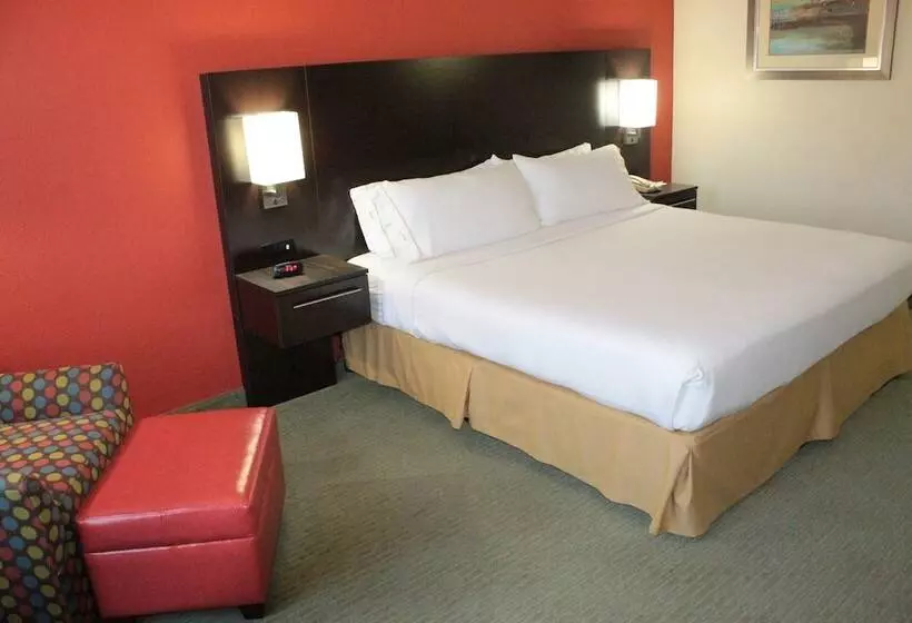 اتاق استاندارد با تخت دوبل, Holiday Inn Express Hotel And Suites Brownsville By Ihg
