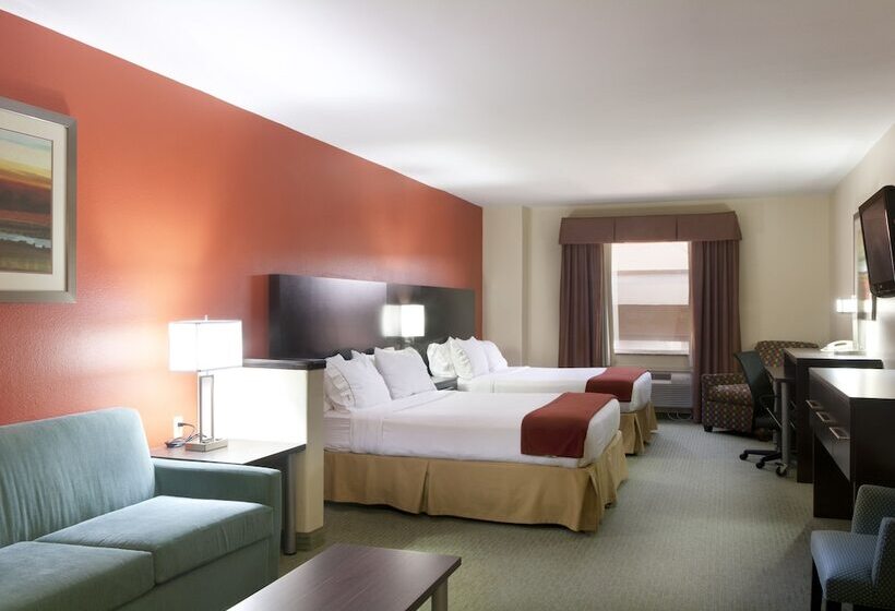اتاق استاندارد, Holiday Inn Express Hotel And Suites Brownsville, An Ihg