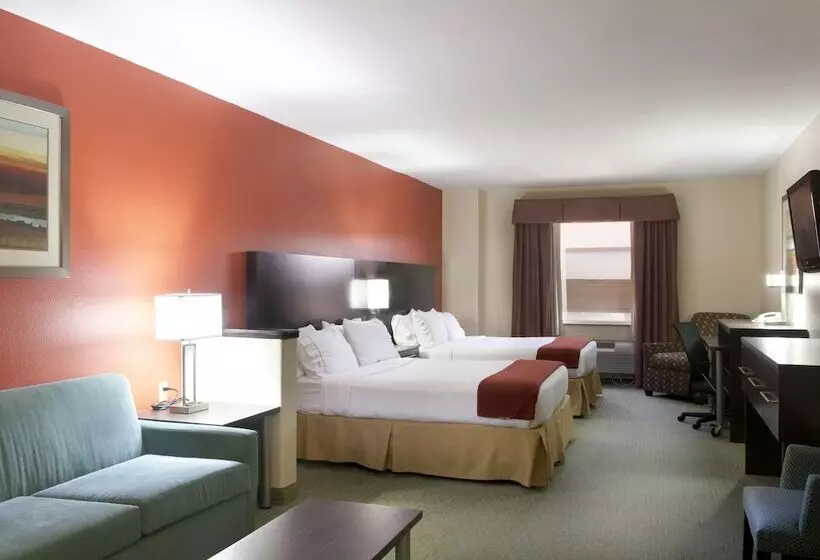 اتاق استاندارد, Holiday Inn Express Hotel And Suites Brownsville, An Ihg