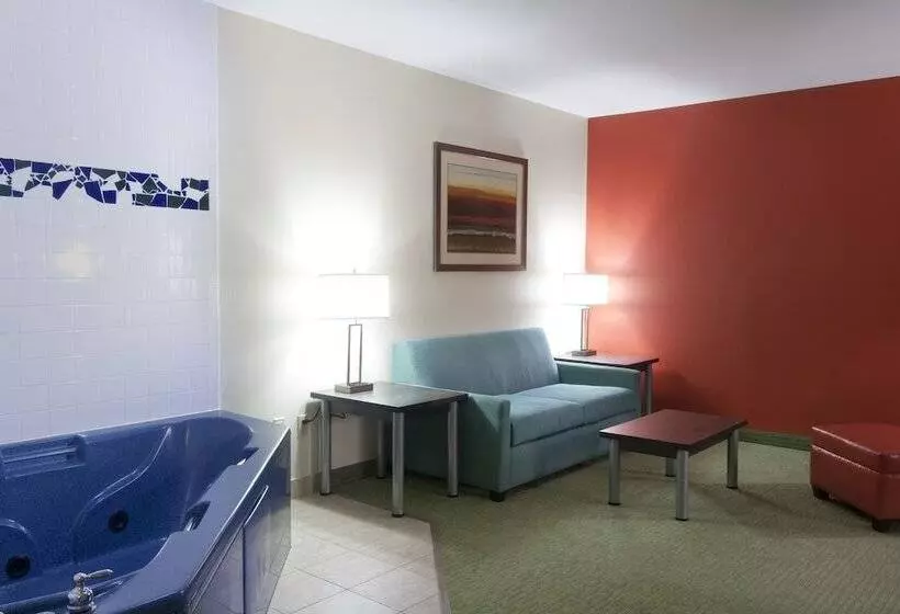 سوئیت با تخت بزرگ, Holiday Inn Express Hotel And Suites Brownsville By Ihg