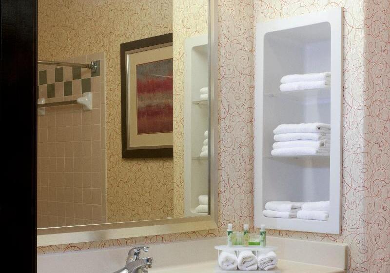 اتاق استاندارد با تخت بزرگ, Holiday Inn Express Hotel And Suites Brownsville, An Ihg