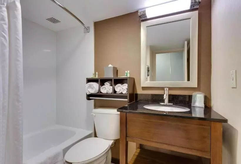 キングサイズベッドのエクゼクティブルーム, Holiday Inn Express Washington Dc Sw   Springfield By Ihg