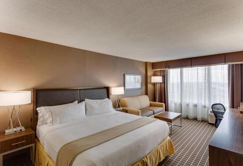 스탠다드 룸 킹사이즈 침대, Holiday Inn Express Washington Dc Sw Springfield By Ihg