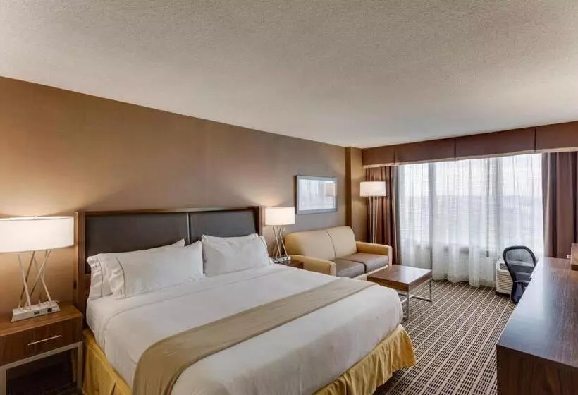 キングサイズベッドのスタンダードルーム, Holiday Inn Express Washington Dc Sw   Springfield By Ihg