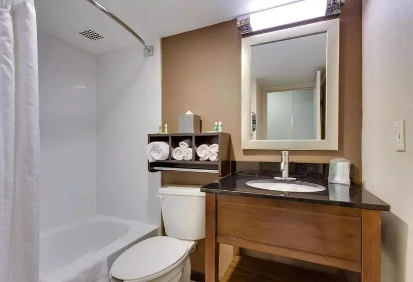 身障者適用スタンダードルーム, Holiday Inn Express Washington Dc Sw   Springfield By Ihg