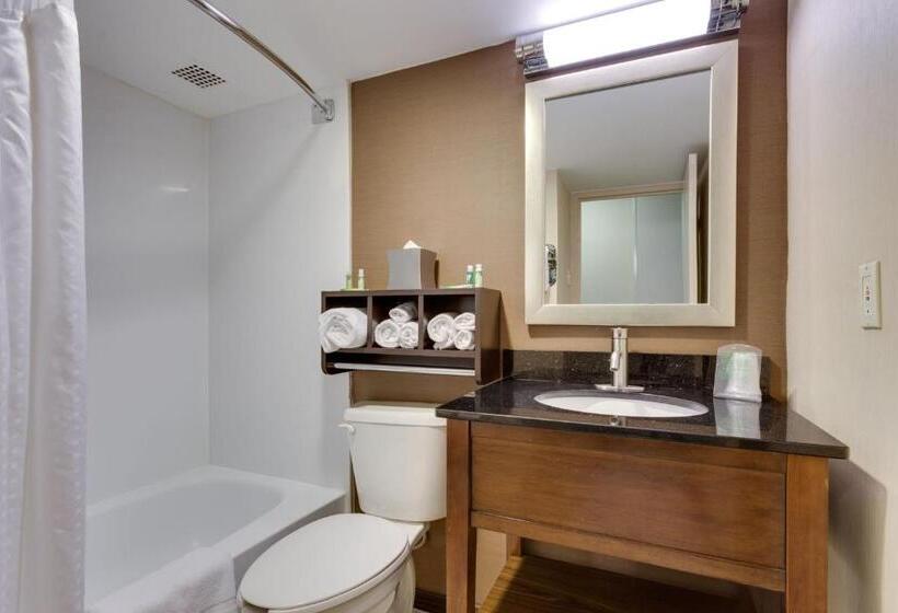 스위트 킹사이즈 침대, Holiday Inn Express Washington Dc Sw Springfield By Ihg