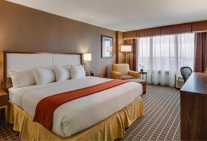 스탠다드 룸 킹사이즈 침대, Holiday Inn Express Washington Dc Sw Springfield By Ihg