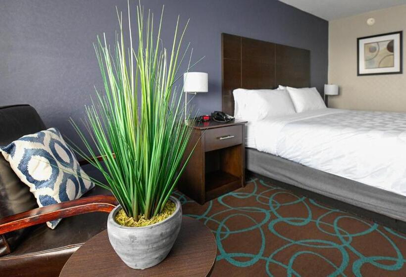 Стандартный Номер Кровать Кинг, Holiday Inn Niagara Falls State Park Entry, An Ihg