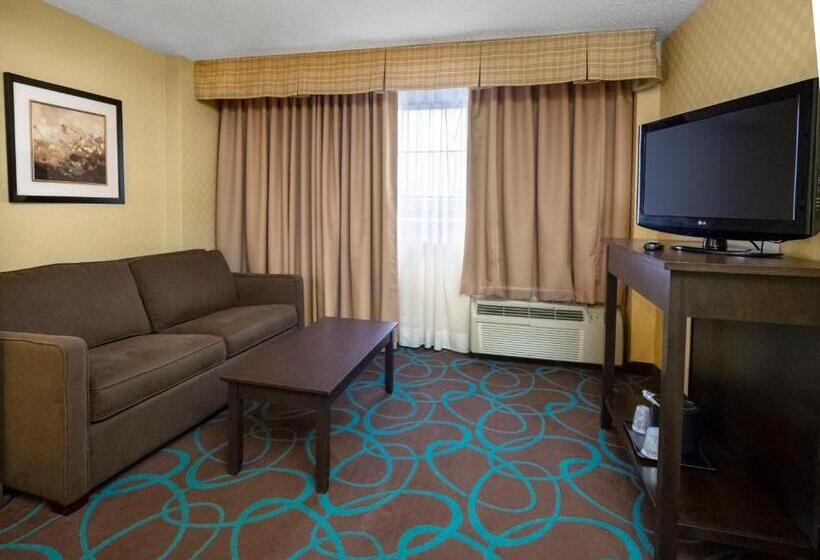 Люкс Кровать Кинг, Holiday Inn Niagara Falls State Park Entry, An Ihg
