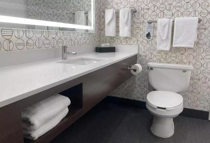スイート, Holiday Inn Niagara Falls State Park Entry, An Ihg