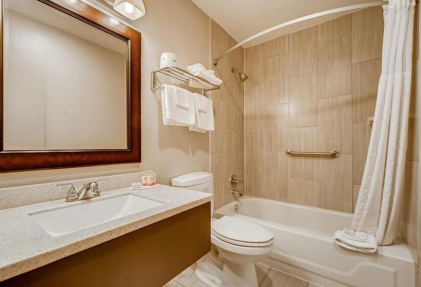 غرفة ديلوكس, Orangewood Inn And Suites Midtown