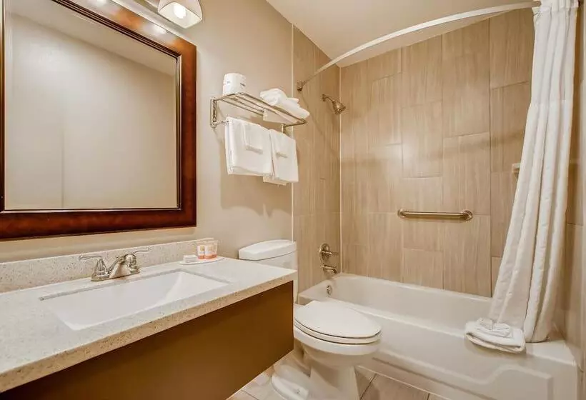 اتاق لوکس یک تخته, Orangewood Inn And Suites Midtown