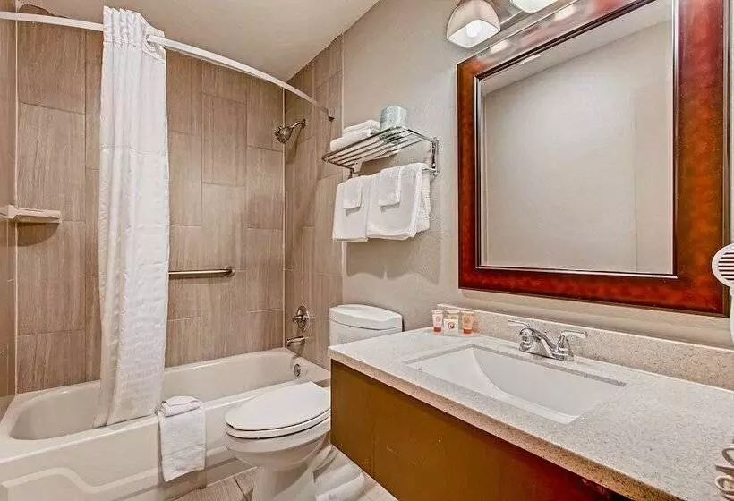 اتاق لوکس یک تخته, Orangewood Inn And Suites Midtown