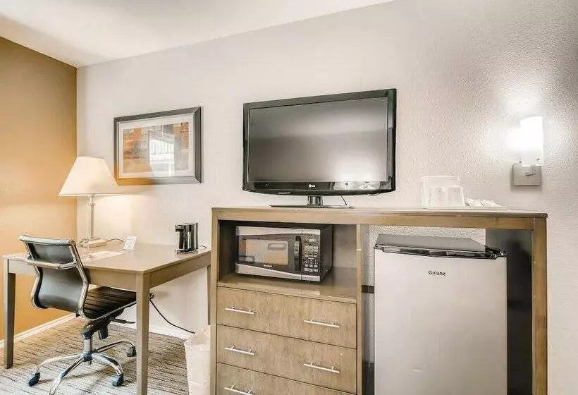 اتاق لوکس یک تخته, Orangewood Inn And Suites Midtown