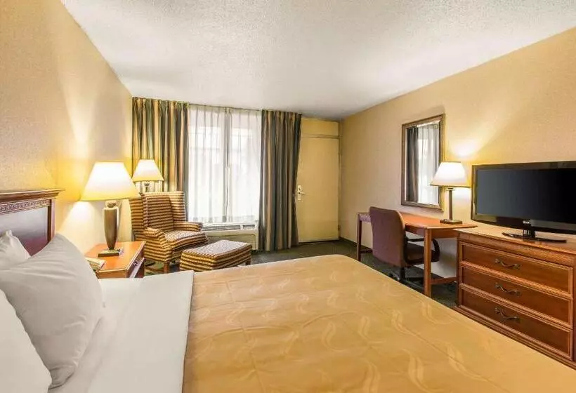 キングサイズベッドのスタンダードルーム, Quality Inn & Suites Mcdonough South I75