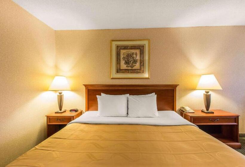 غرفة قياسية سرير كينج, Quality Inn & Suites Mcdonough South I75