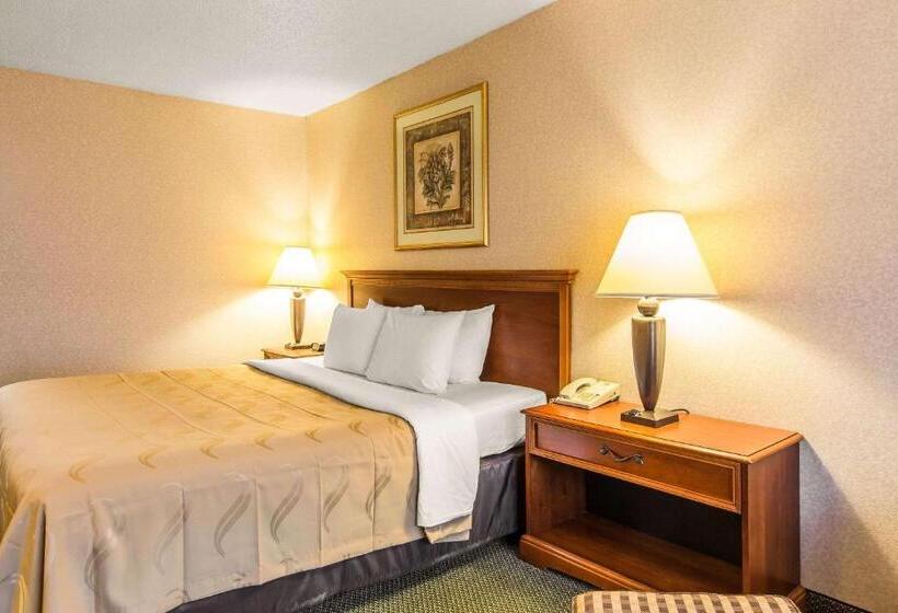 غرفة قياسية سرير كينج, Quality Inn & Suites Mcdonough South I75