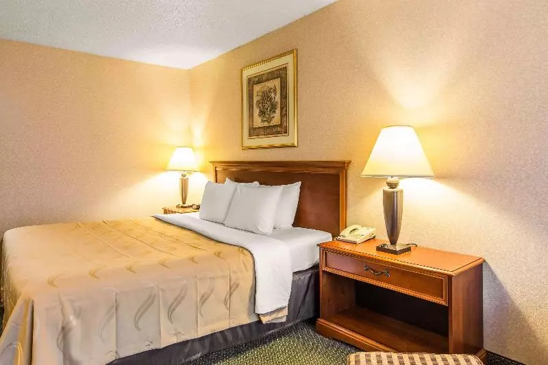キングサイズベッドのスタンダードルーム, Quality Inn & Suites Mcdonough South I75