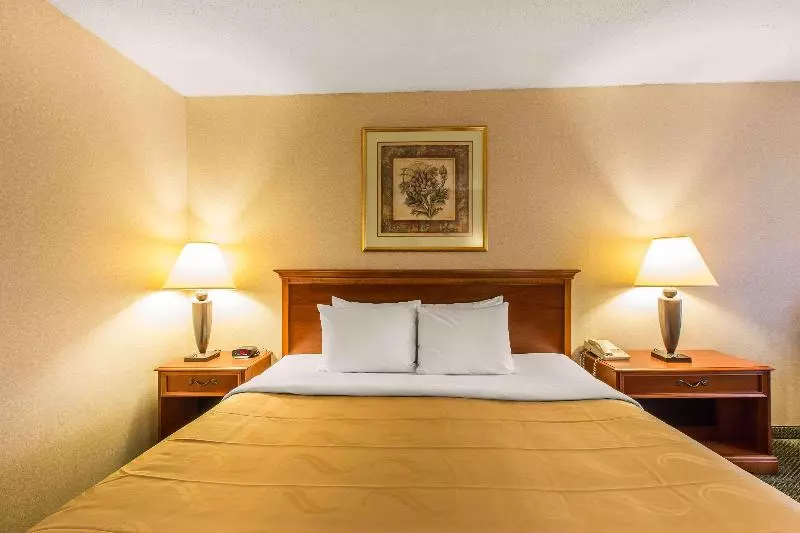 キングサイズベッドのスタンダードルーム, Quality Inn & Suites Mcdonough South I75