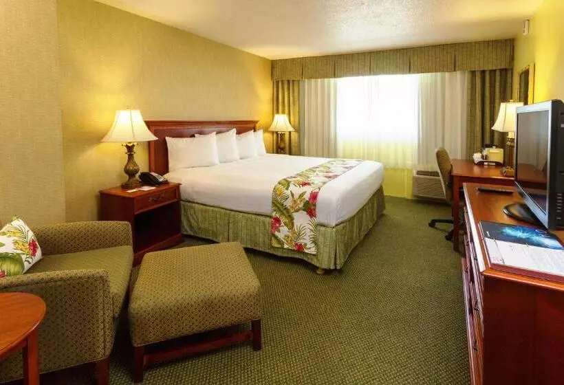 اتاق استاندارد با تخت بزرگ, Ramada Plaza By Wyndham Waikiki