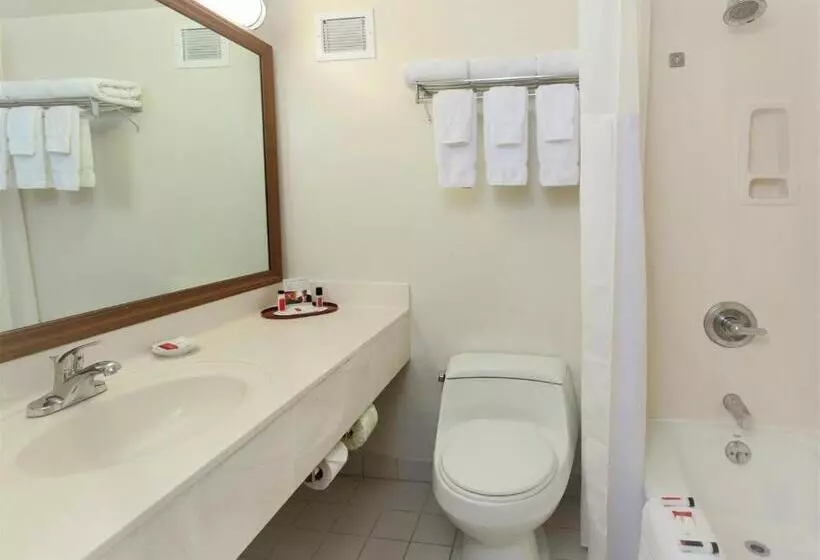 اتاق استاندارد با 2 تخت دوبل, Ramada Plaza By Wyndham Waikiki