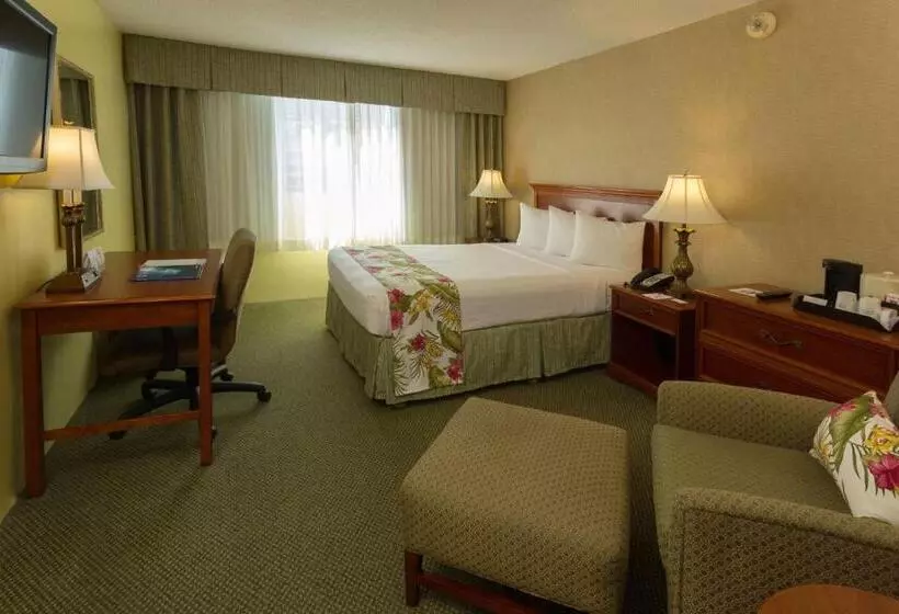 اتاق استاندارد, Ramada Plaza By Wyndham Waikiki
