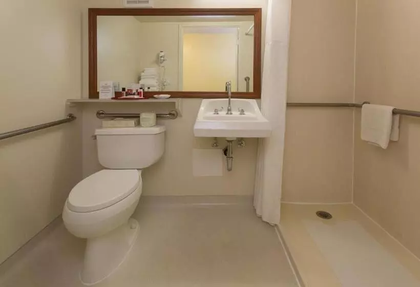 اتاق استاندارد برای معلولان, Ramada Plaza By Wyndham Waikiki
