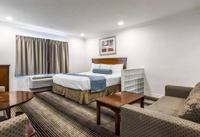 سوئیت با تخت بزرگ, Rodeway Inn & Suites Pacific Coast Highway