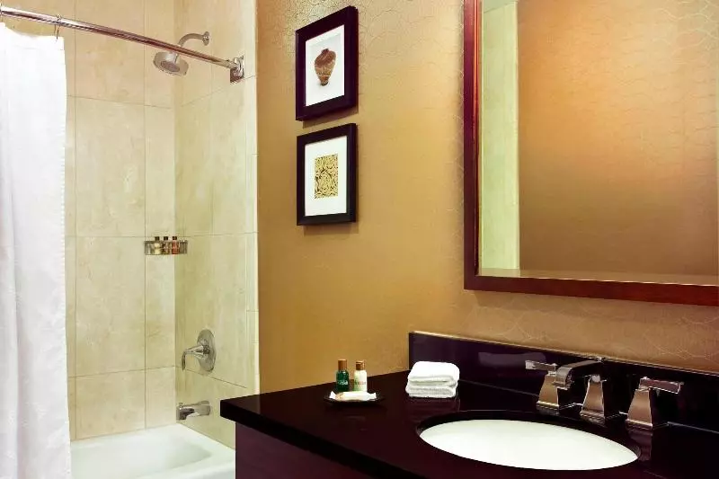 اتاق استاندارد با تخت بزرگ, Sheraton Harrisburg Hershey