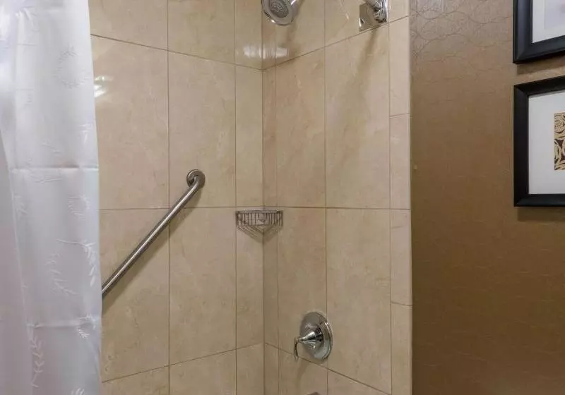 اتاق استاندارد با تخت بزرگ, Sheraton Harrisburg Hershey