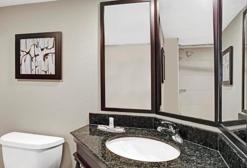 Mozgáskorlátozott Standard Szoba, Spark By Hilton Richardson Dallas