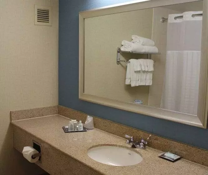障害者適応デラックスルーム, Courtyard By Marriott Pittsburgh University Center