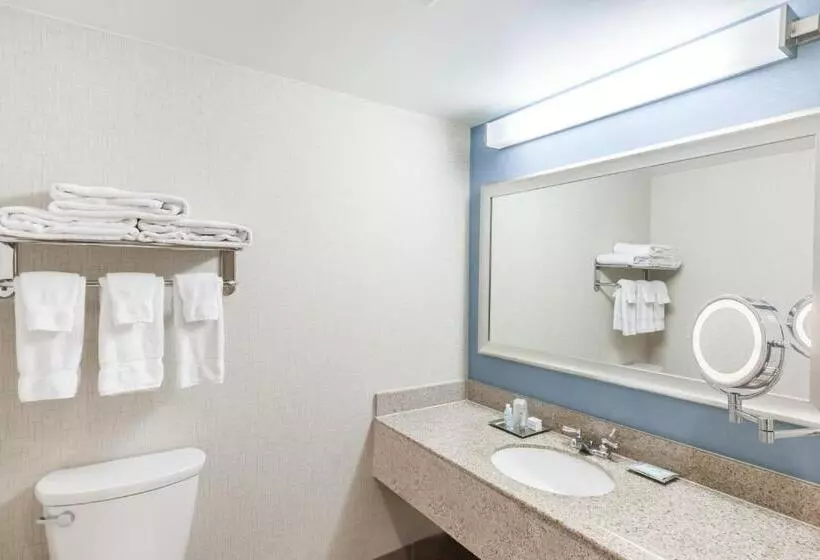 キングサイズベッドのスタンダードルーム, Courtyard By Marriott Pittsburgh University Center