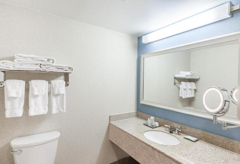 キングサイズベッドのデラックススイート, Courtyard By Marriott Pittsburgh University Center