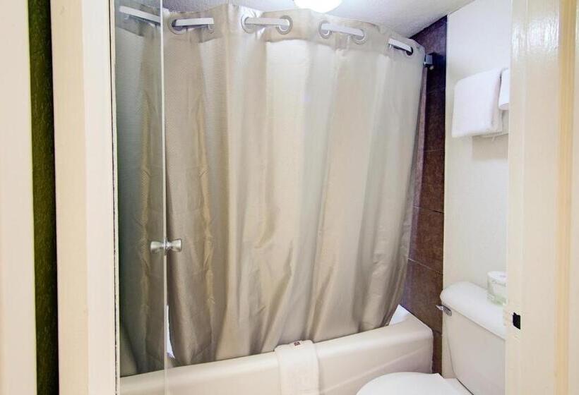 スタンダードルーム, Motel 6 Mount Pleasant, Tx