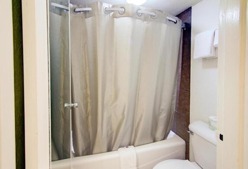 デラックスルーム, Motel 6 Mount Pleasant, Tx