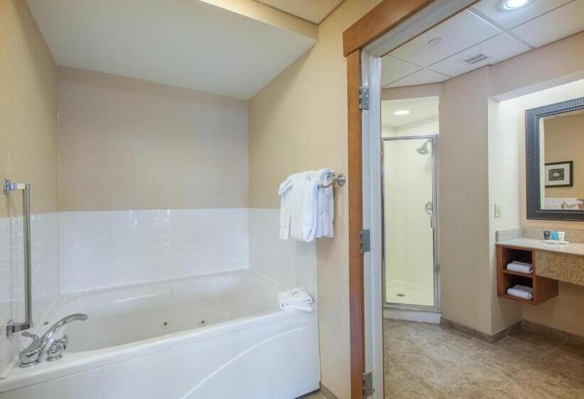 جناح ديلوكس سرير كينج, Crowne Plaza Lake Placid, An Ihg