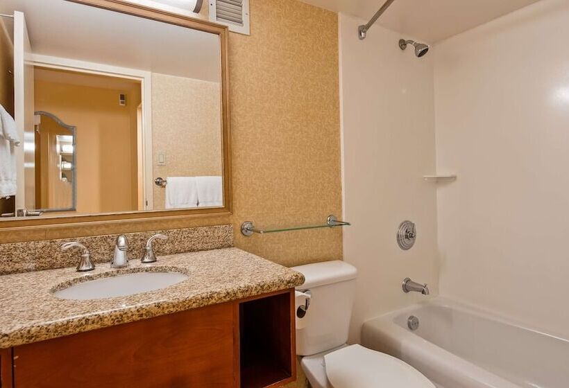 غرفه قياسيه سريرين مزدوجين, Airport Honolulu