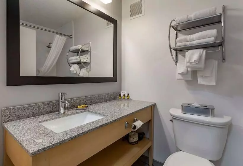 ２ダブルベッドのスタンダードルーム, Best Western Plus University Inn