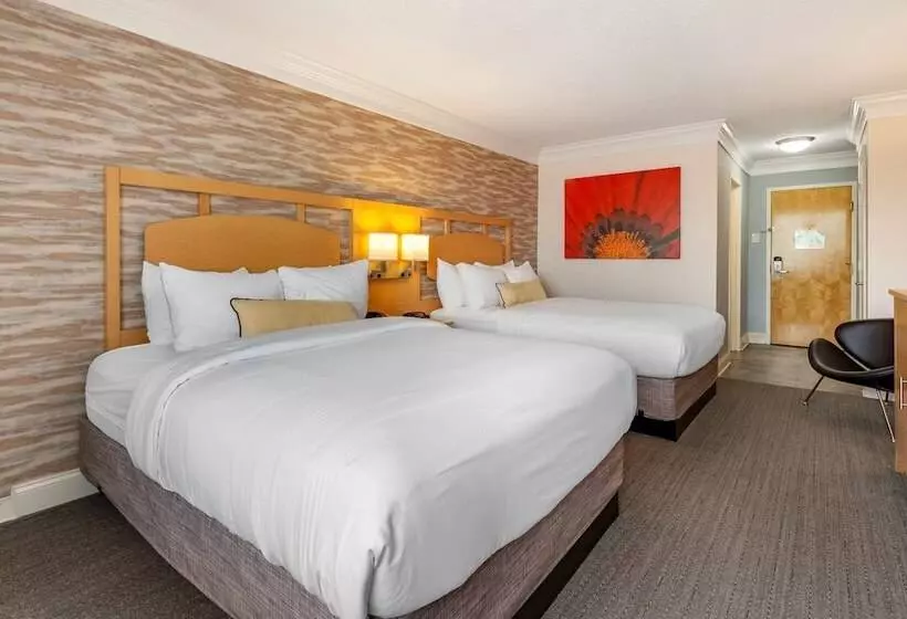 ２ダブルベッドのスタンダードルーム, Best Western Plus University Inn