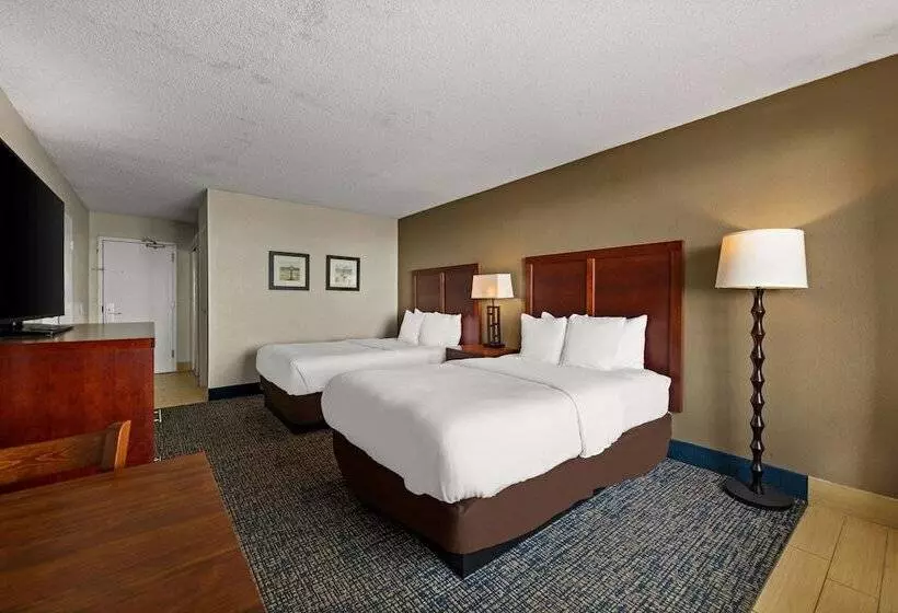 ２ダブルベッドのスタンダードルーム, Comfort Inn On The Ocean