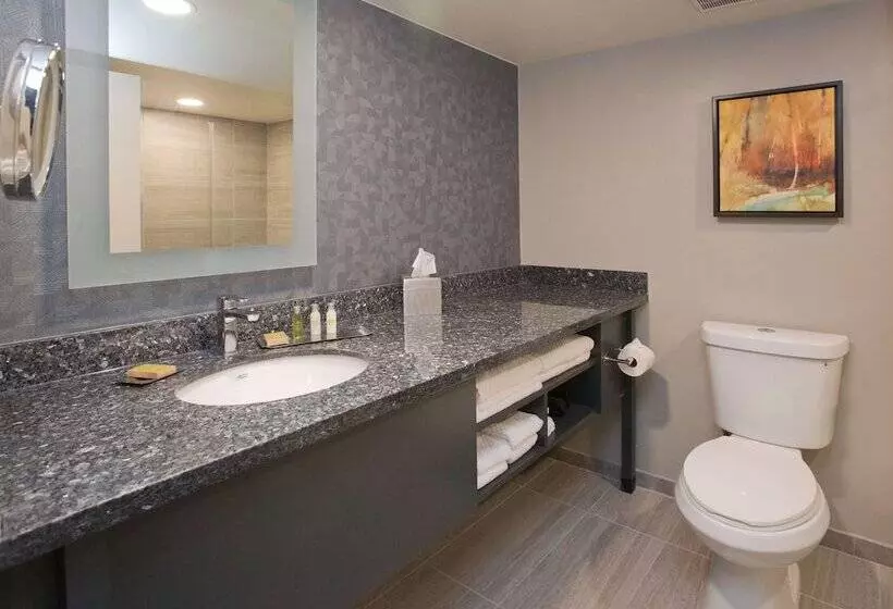 اتاق استاندارد با تخت دوبل, Doubletree By Hilton Chico