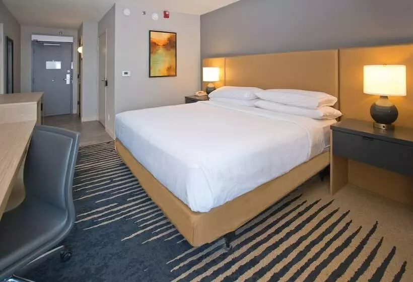 اتاق استاندارد با تخت دوبل, Doubletree By Hilton Chico