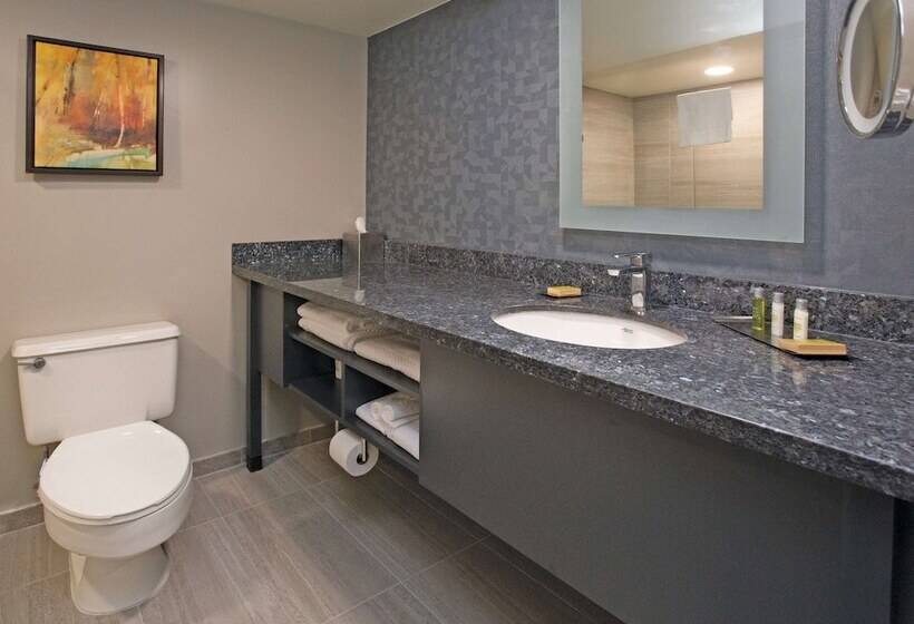 إستوديو قياسى سرير مزدوج, Doubletree By Hilton Chico