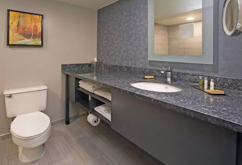 استودیوی استاندارد با تخت دوبل, Doubletree By Hilton Chico