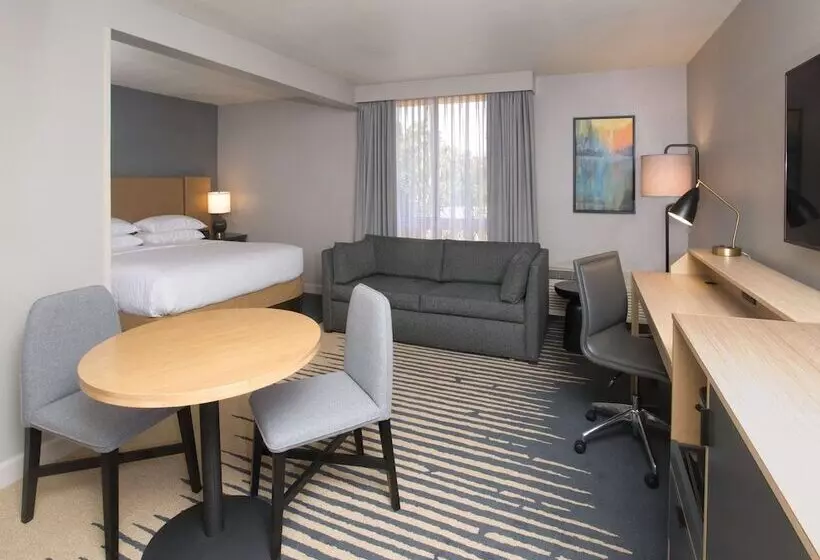 استودیوی استاندارد با تخت دوبل, Doubletree By Hilton Chico