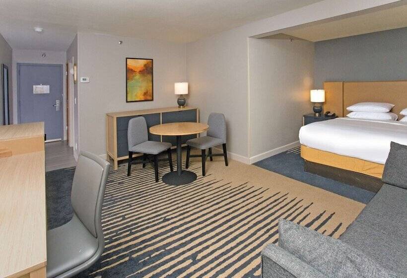 إستوديو قياسى سرير مزدوج, Doubletree By Hilton Chico