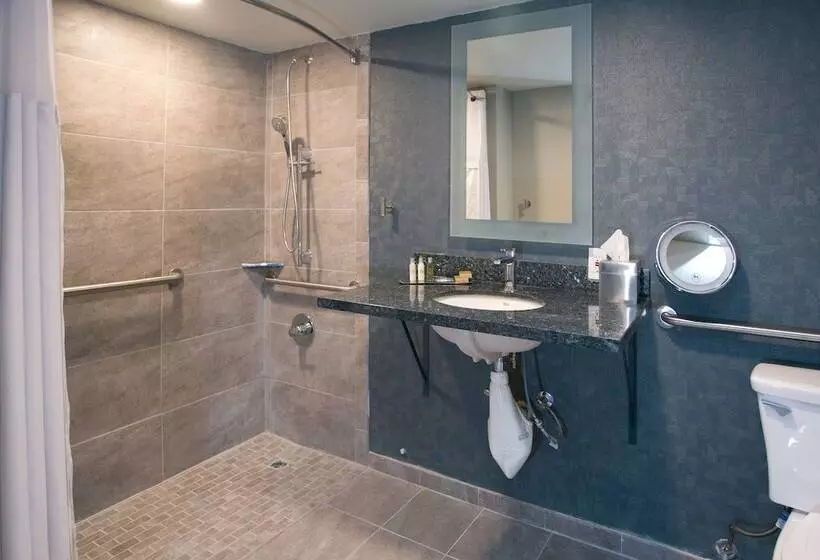 اتاق استاندارد با تخت دوبل برای معلولان, Doubletree By Hilton Chico